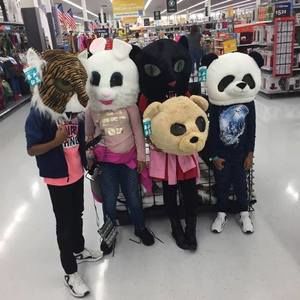 Meet your Posher, Otis